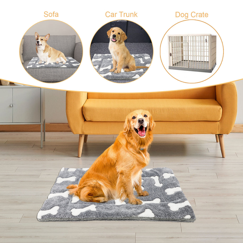 🐶Dog Starter Kit — Save $18