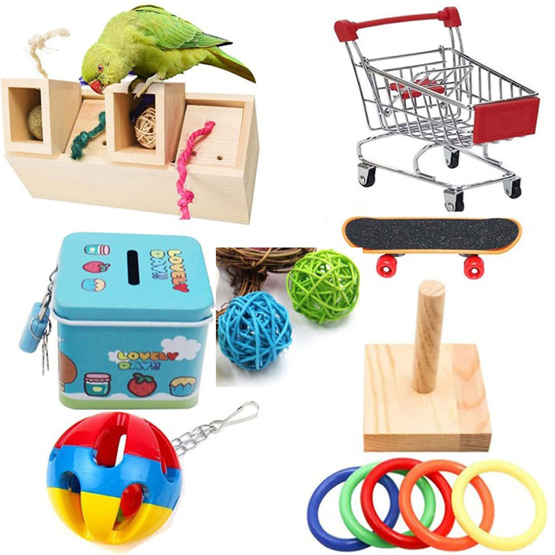 Parrot Puzzle Training Toy & Bird Supplies