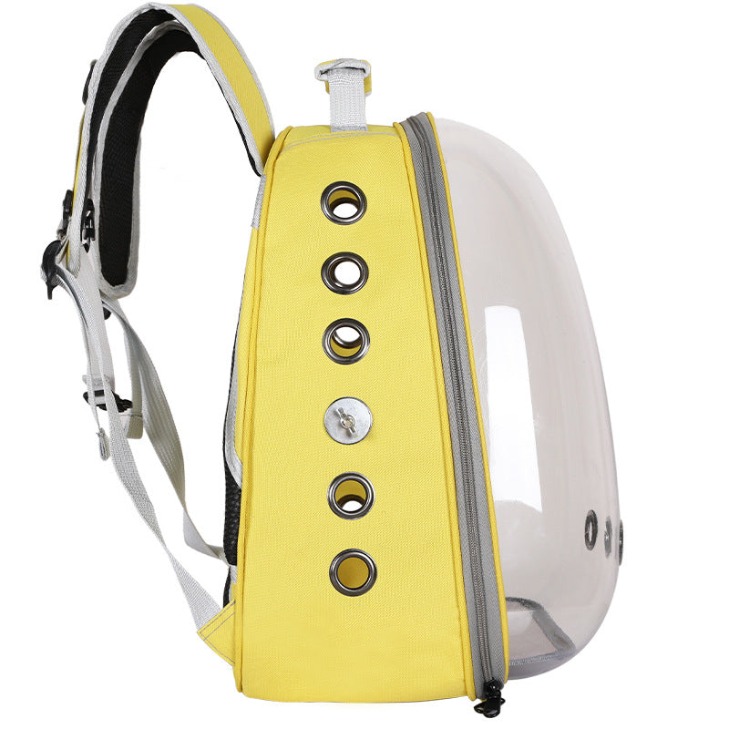 Transparent Parrot Bird Travel Backpack Carrier