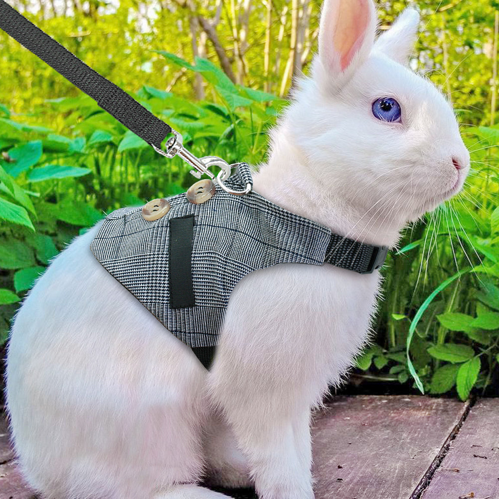 Rabbit Harness Leash & Dress Costume Set