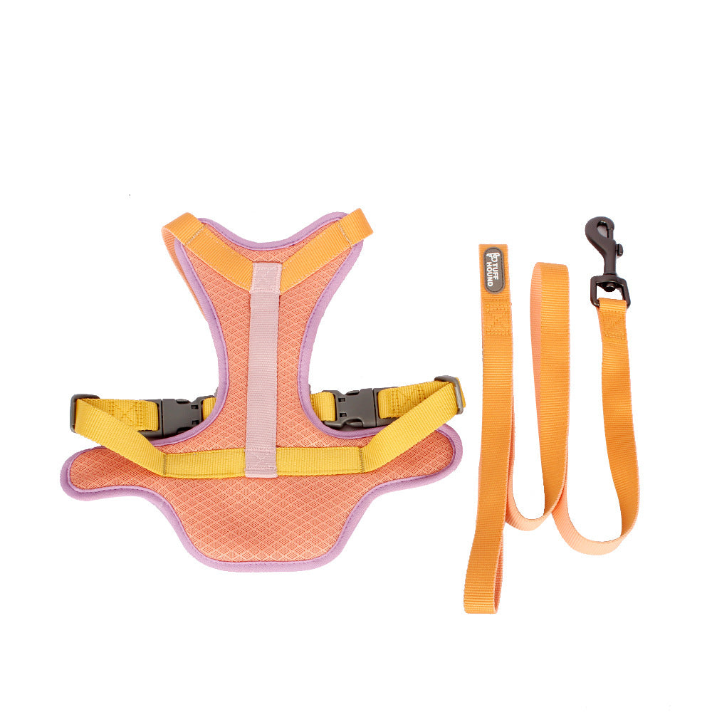 Colorful Pet Harness & Leash Set