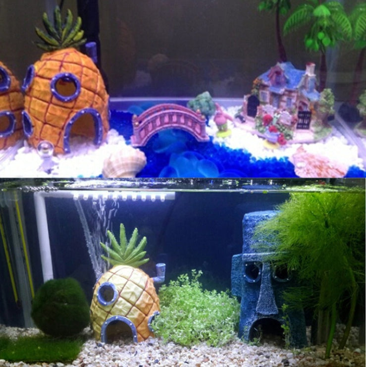 🐠 Aquarium Starter Set — Save $36