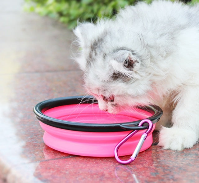2-in-1 Portable Pet Water Bottle & Silicone Bowl
