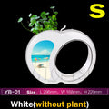 Mini LED Desktop Fish Tank