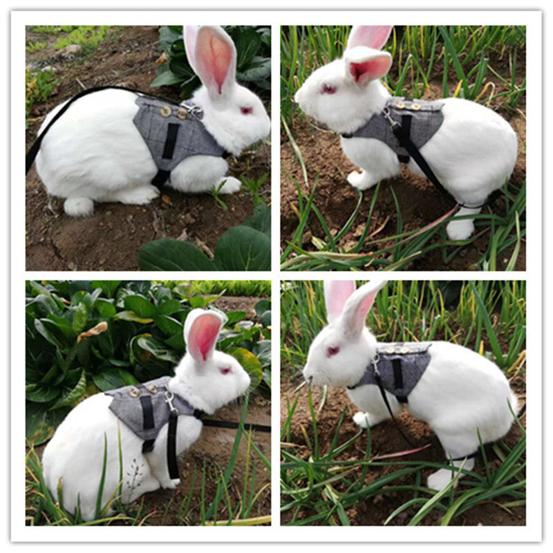 Rabbit Harness Leash & Dress Costume Set