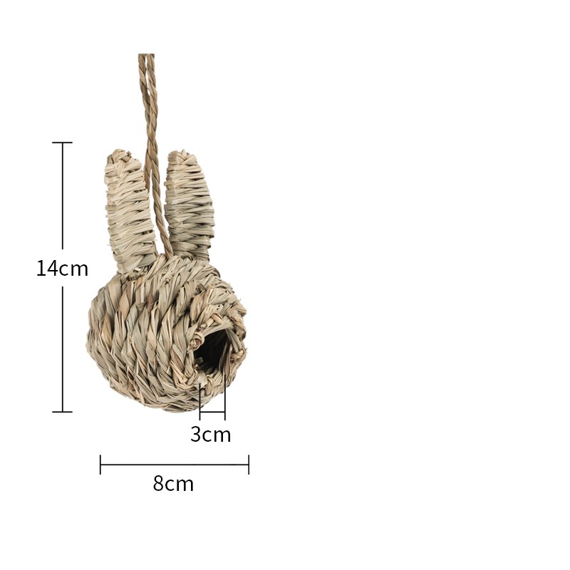 Guinea Pig Chewing & Molar Teeth Toy