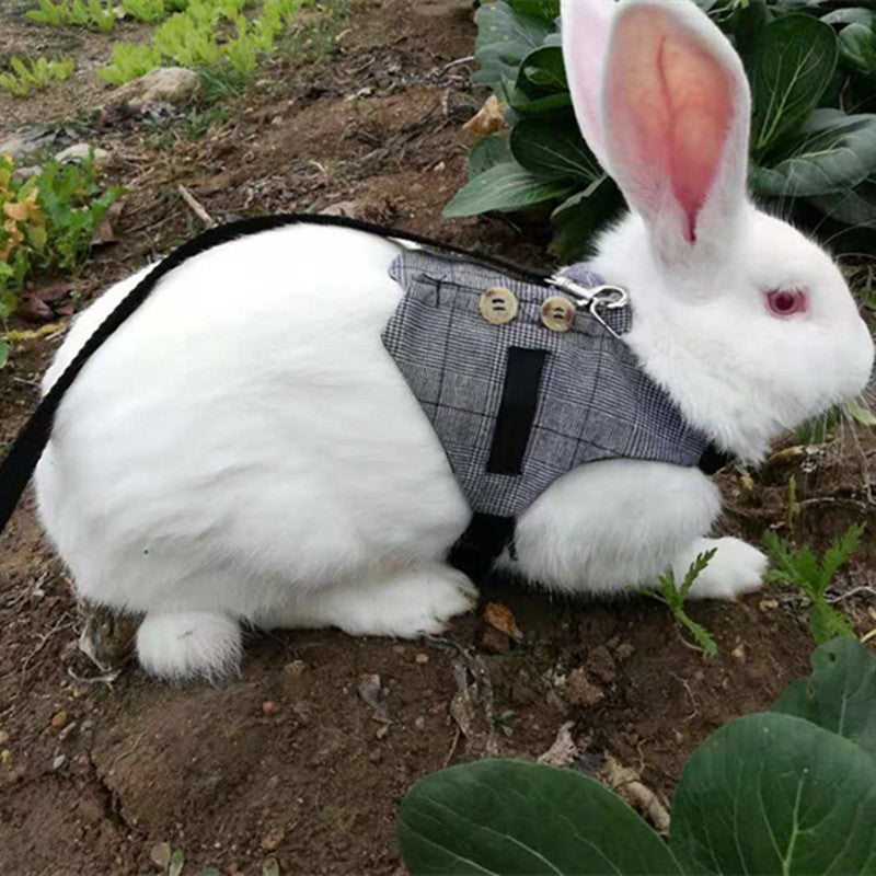 Rabbit Harness Leash & Dress Costume Set