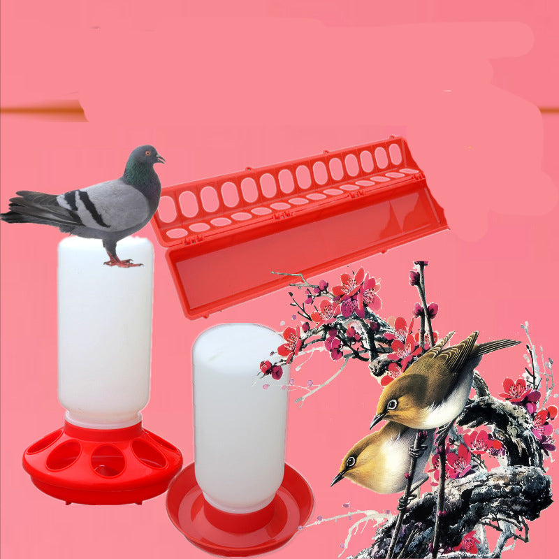 Pigeon & Bird Water Bottle Feeder