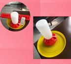 Pigeon & Bird Water Bottle Feeder