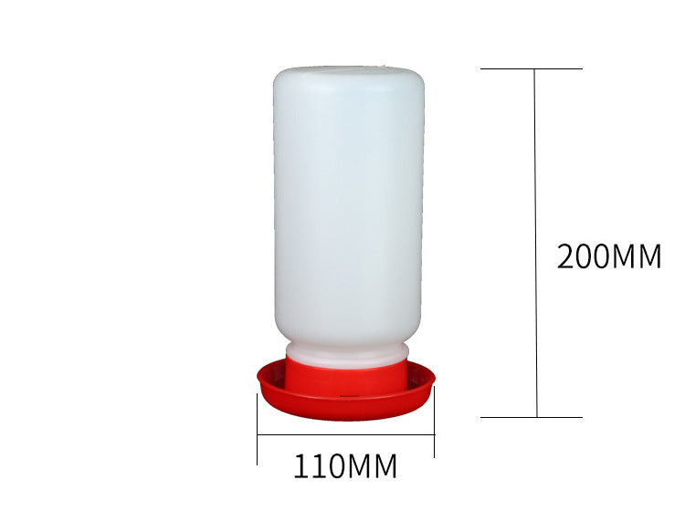 Pigeon & Bird Water Bottle Feeder