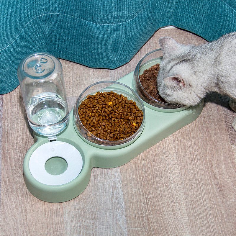 Double Bowl Pet Feeder with Automatic Water Fountain & Raised Stand