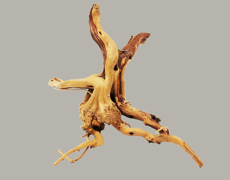 Natural Driftwood Branch for Aquarium Landscaping