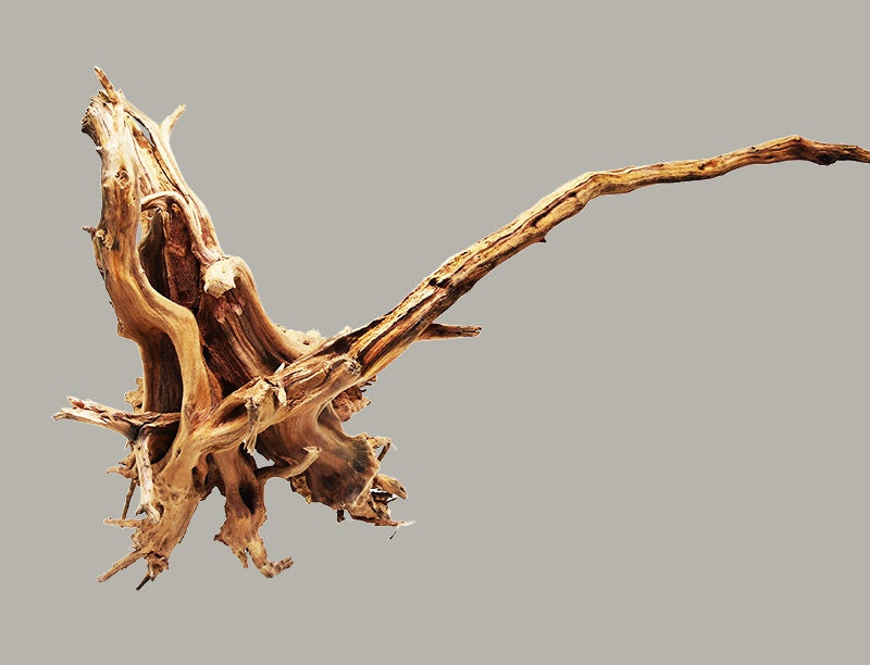 Natural Driftwood Branch for Aquarium Landscaping