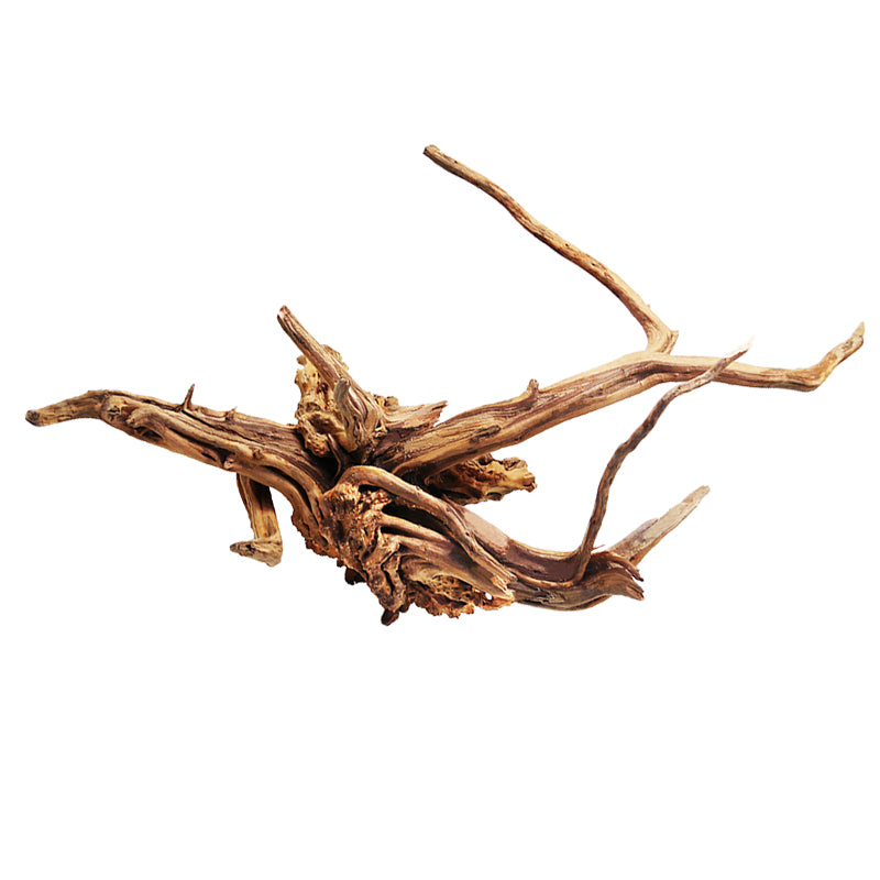Natural Driftwood Branch for Aquarium Landscaping