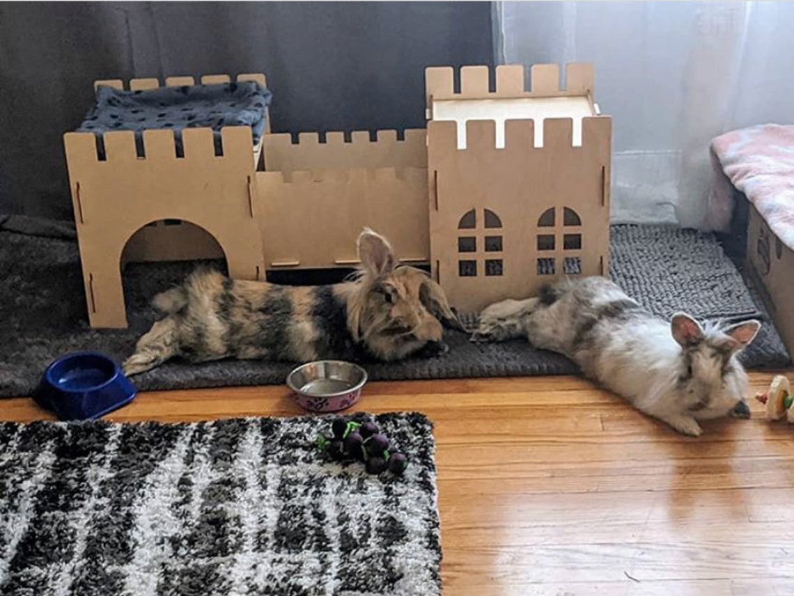 Wooden Castle Hideout for Rabbits & Guinea Pigs — Assembled