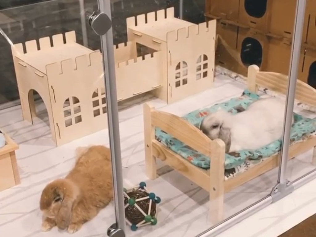Wooden Castle Hideout for Rabbits & Guinea Pigs — Assembled