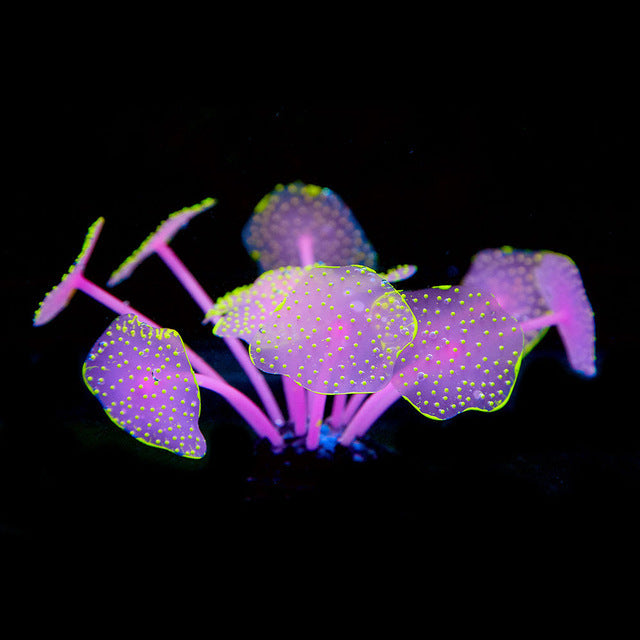Silicone Suction Cup Coral Decoration for Aquariums