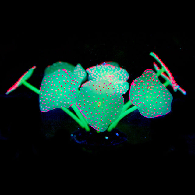 Silicone Suction Cup Coral Decoration for Aquariums