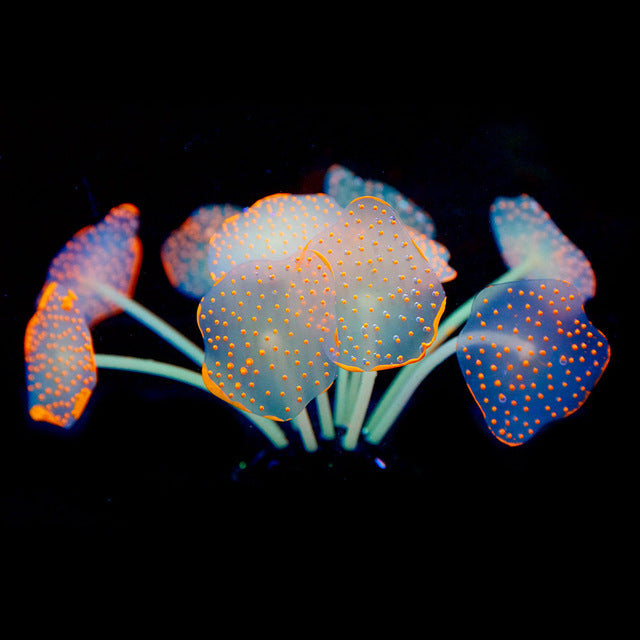 Silicone Suction Cup Coral Decoration for Aquariums