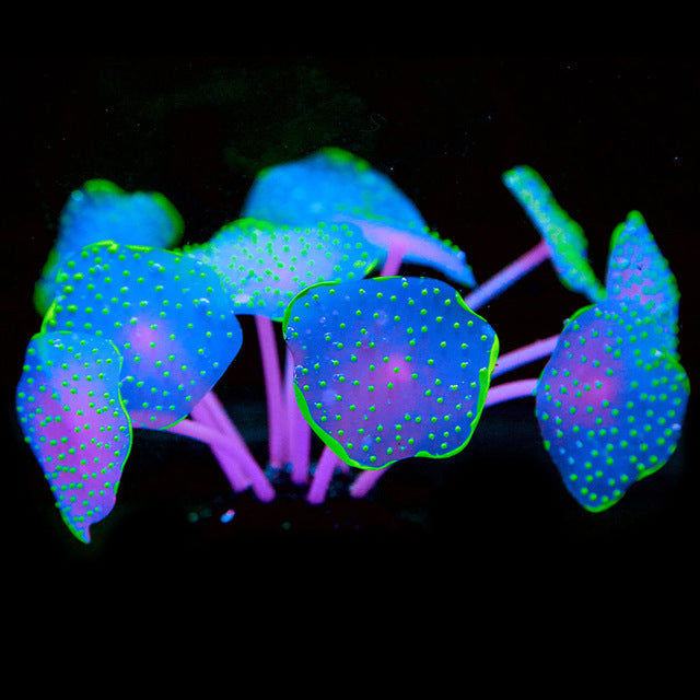 Silicone Suction Cup Coral Decoration for Aquariums