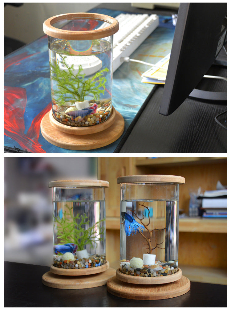 Mini Bamboo Base Glass Fish Bowl — Desktop Decoration