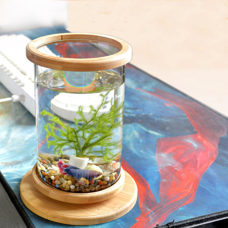 Mini Bamboo Base Glass Fish Bowl — Desktop Decoration