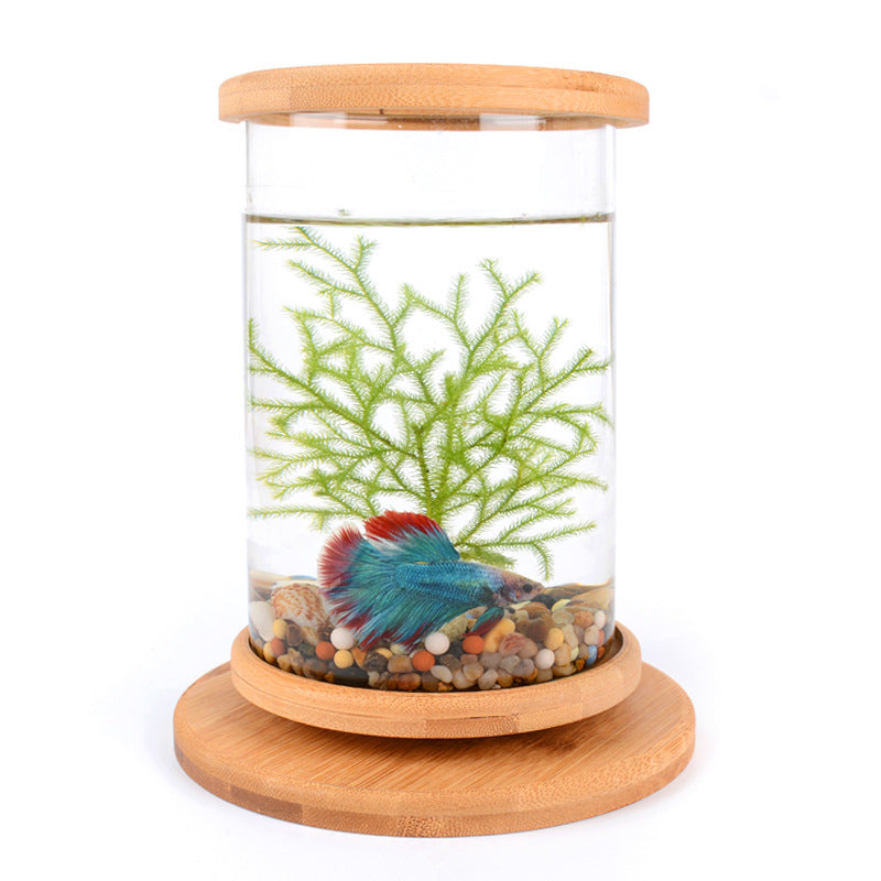 Mini Bamboo Base Glass Fish Bowl — Desktop Decoration