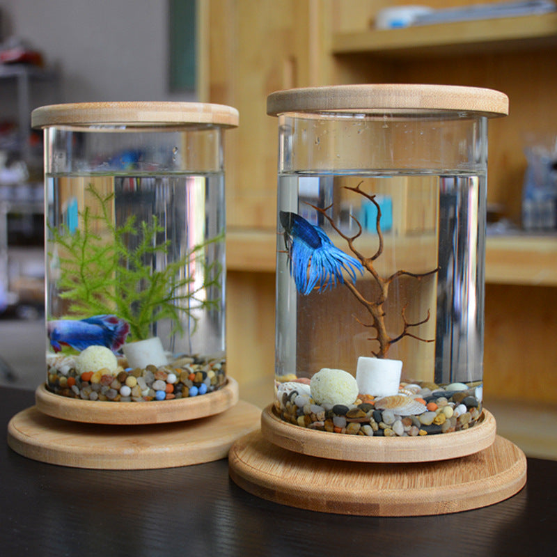 Mini Bamboo Base Glass Fish Bowl — Desktop Decoration