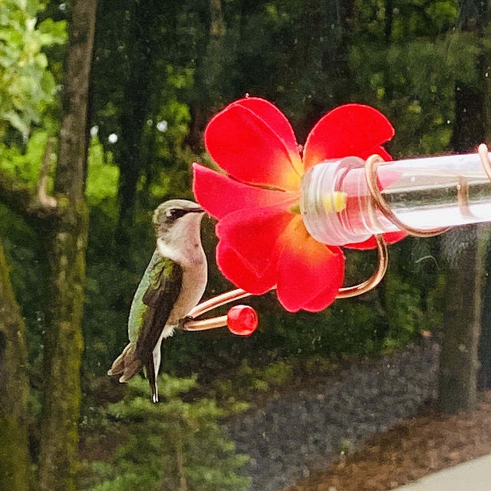 Flower Design Hummingbird Bird Feeder Tube Decorative Dispenser Tool Water Hanging Bird Window Outdoor Bird Feeding Tube