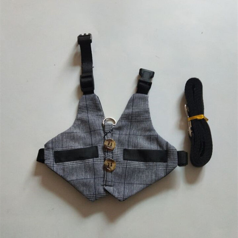 Rabbit Harness Leash & Dress Costume Set