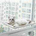 Suction Cup Window Cat Hammock — Wall Mounted