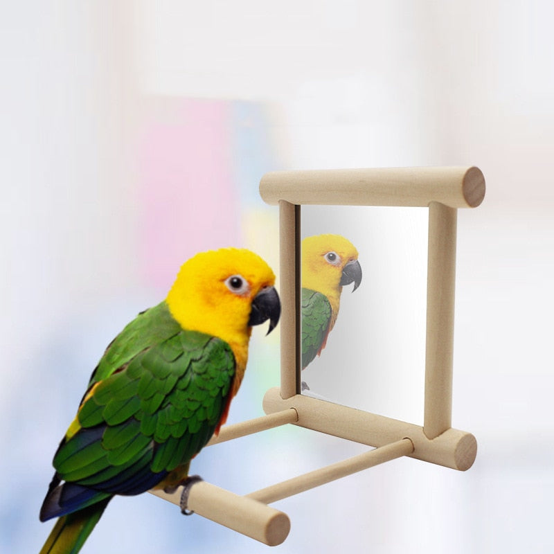 Bird Stand with Mirror Toy