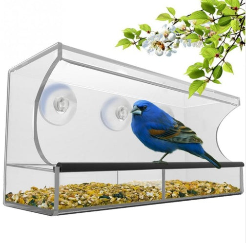 🐦 Bird Starter Bundle — Save $15