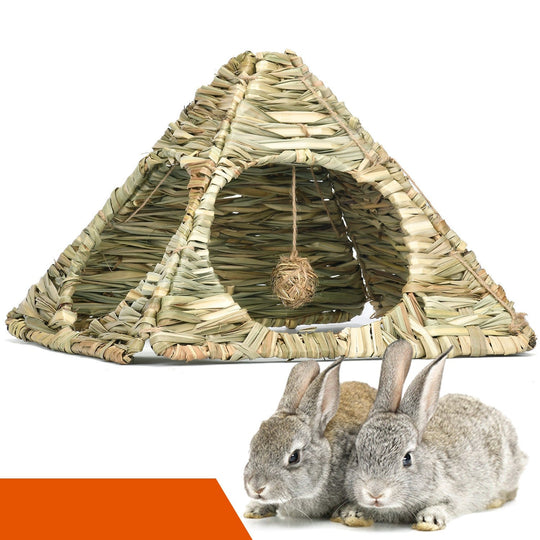 🐰 Rabbit Starter Bundle — Save $14