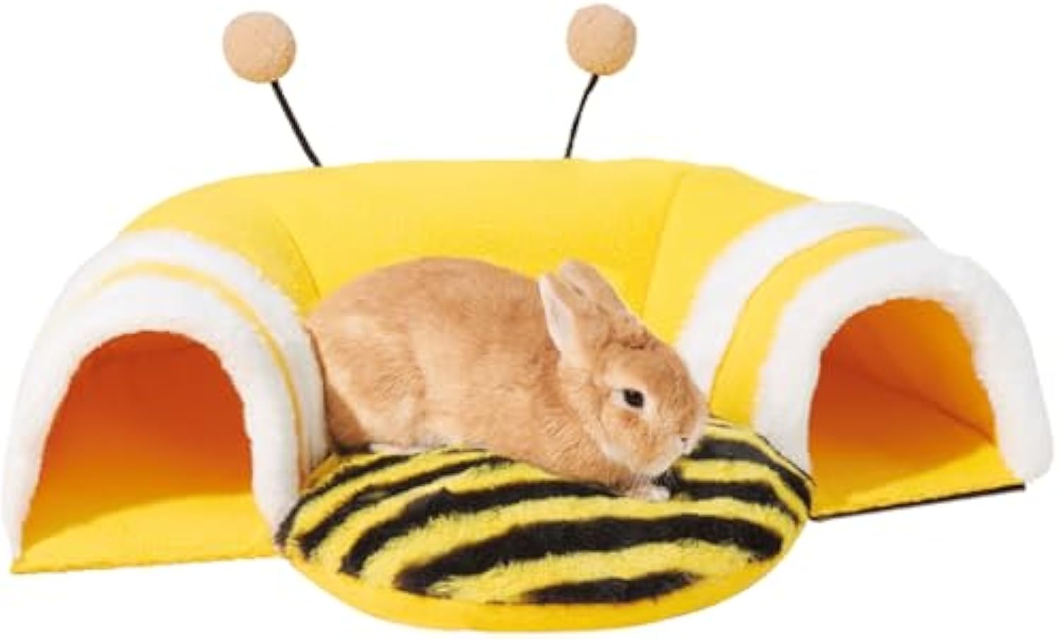 🐾 Guinea Pig Starter Bundle — Save $14