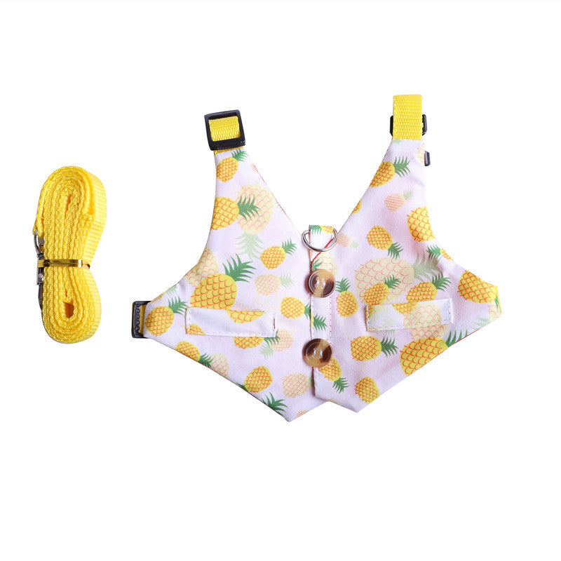 Rabbit & Cat Chest Strap Harness with Hand Rope