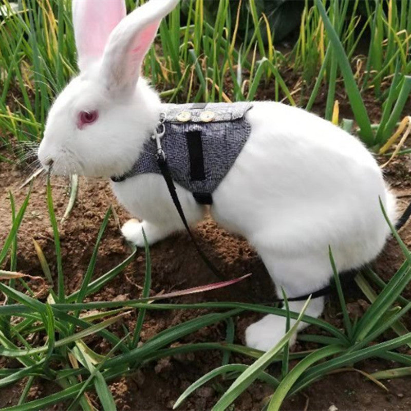 Rabbit Harness Leash & Dress Costume Set