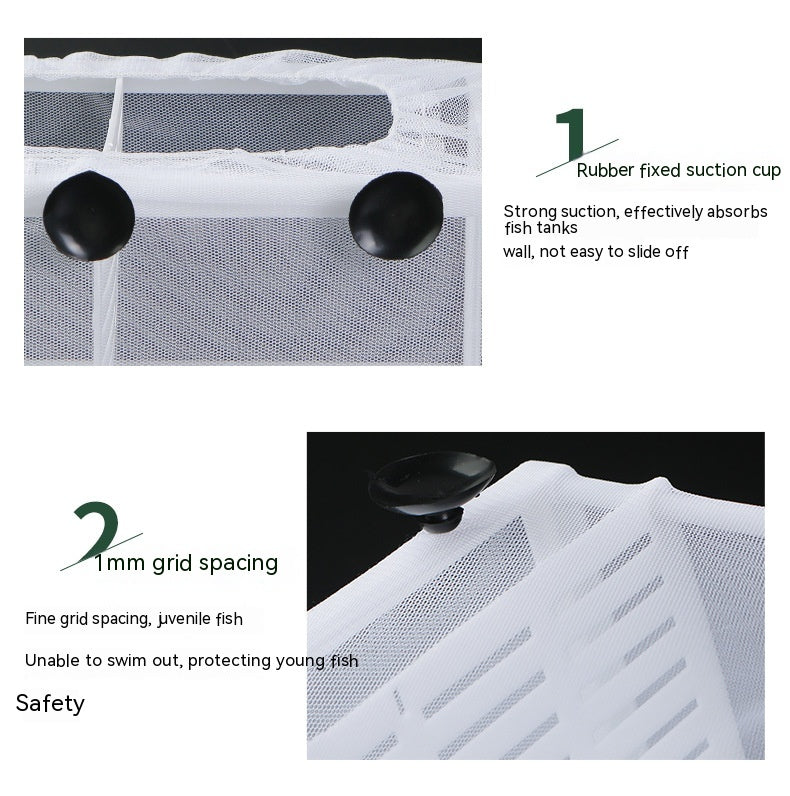 Fish Tank Breeding & Isolation Box — Fry Protection