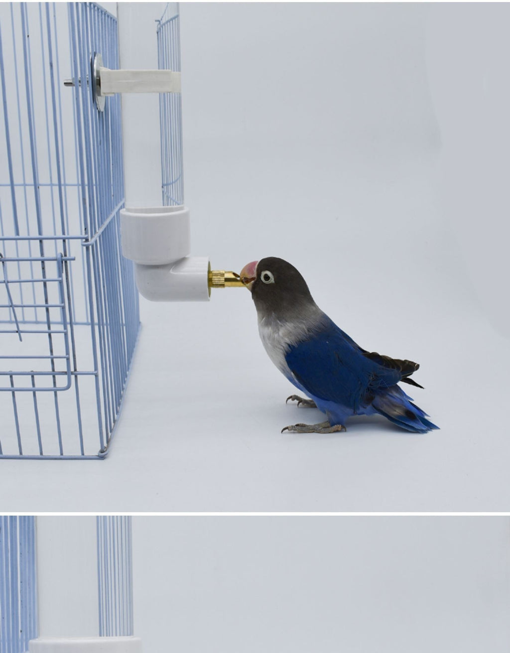 Automatic Water Dispenser Bottle for Parrots & Small Pets