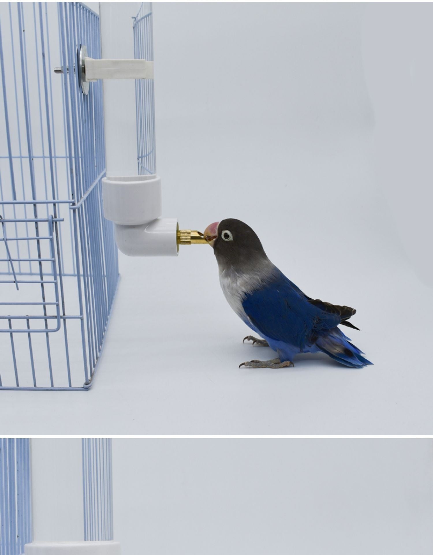 Automatic Water Dispenser Bottle for Parrots & Small Pets