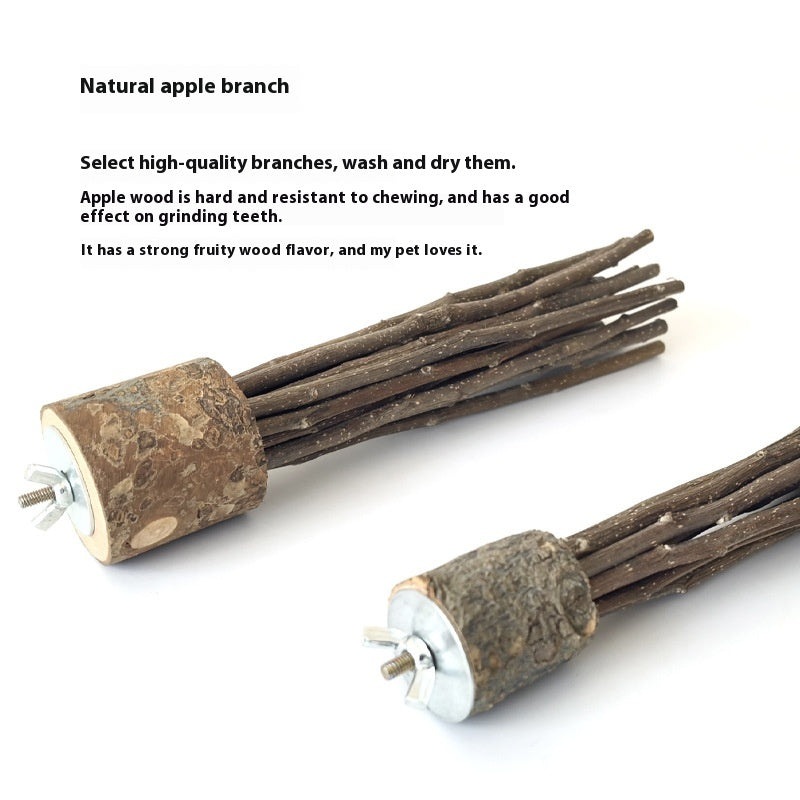 Natural Apple Wood Molar Chew Sticks for Small Pets