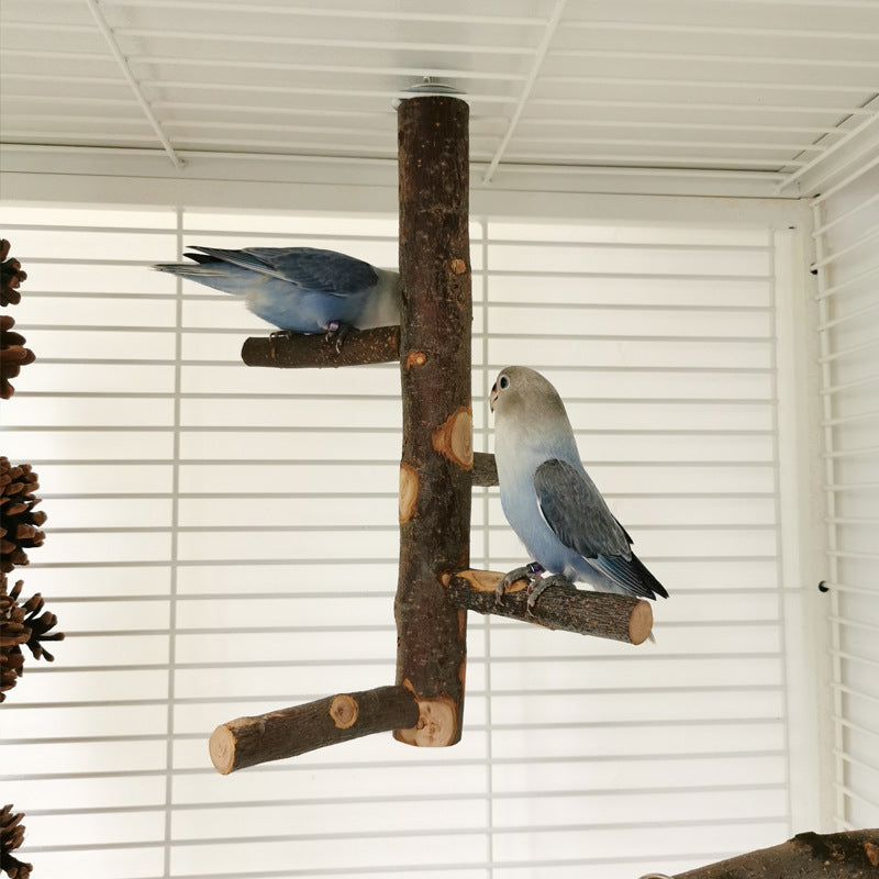 Apple Wood Parrot Stand with Perch — Natural Bird Toy
