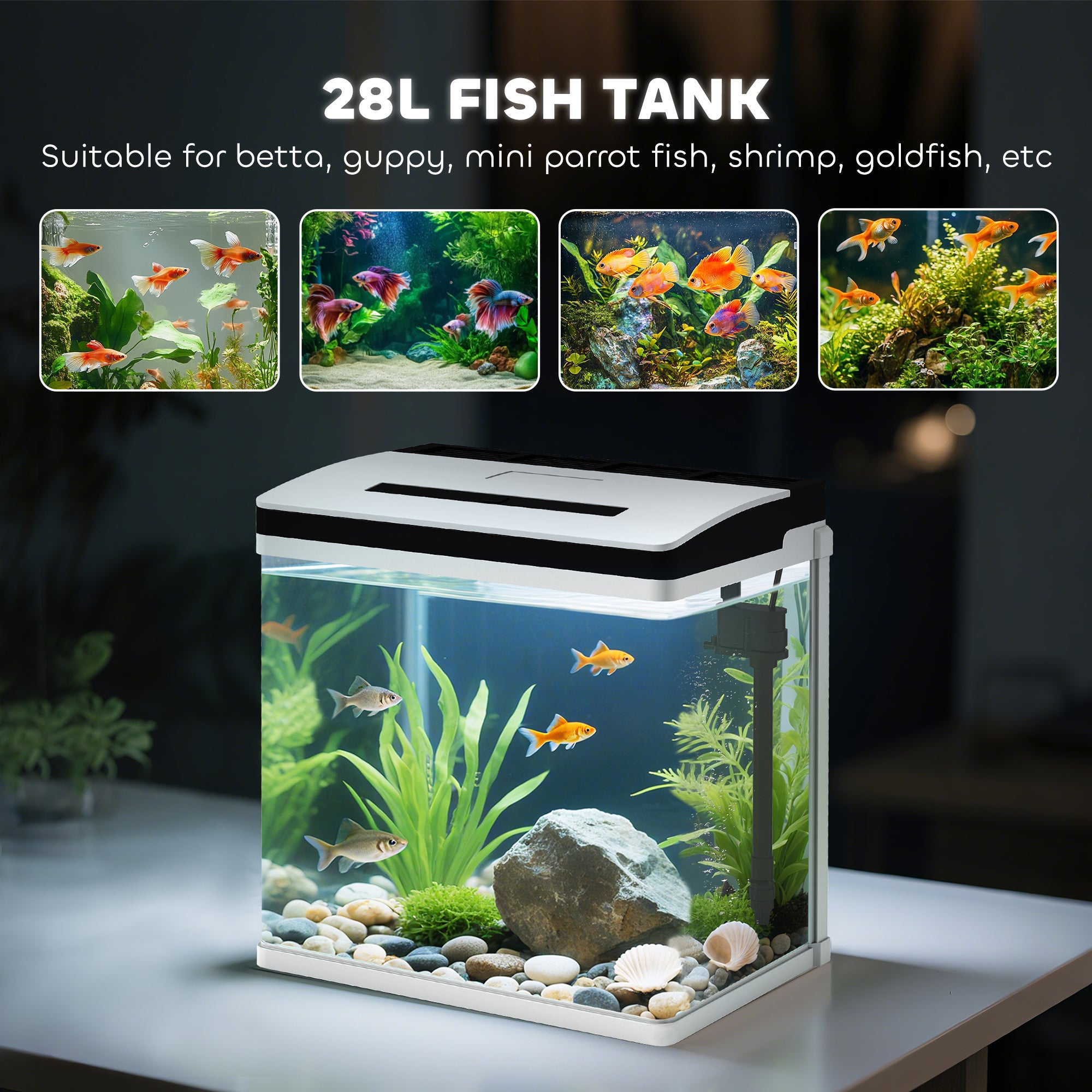 PawHut 28L Glass Aquarium Fish Tank With Filter, LED Lighting, For Betta, Guppy, Mini Parrot Fish, Shrimp, 38 X 26 X 39.5cm