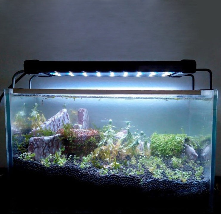 Telescopic LED Aquarium Light — Freshwater & Saltwater