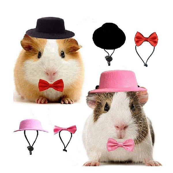 Felt Hat & Bow Tie Costume Set for Small Pets
