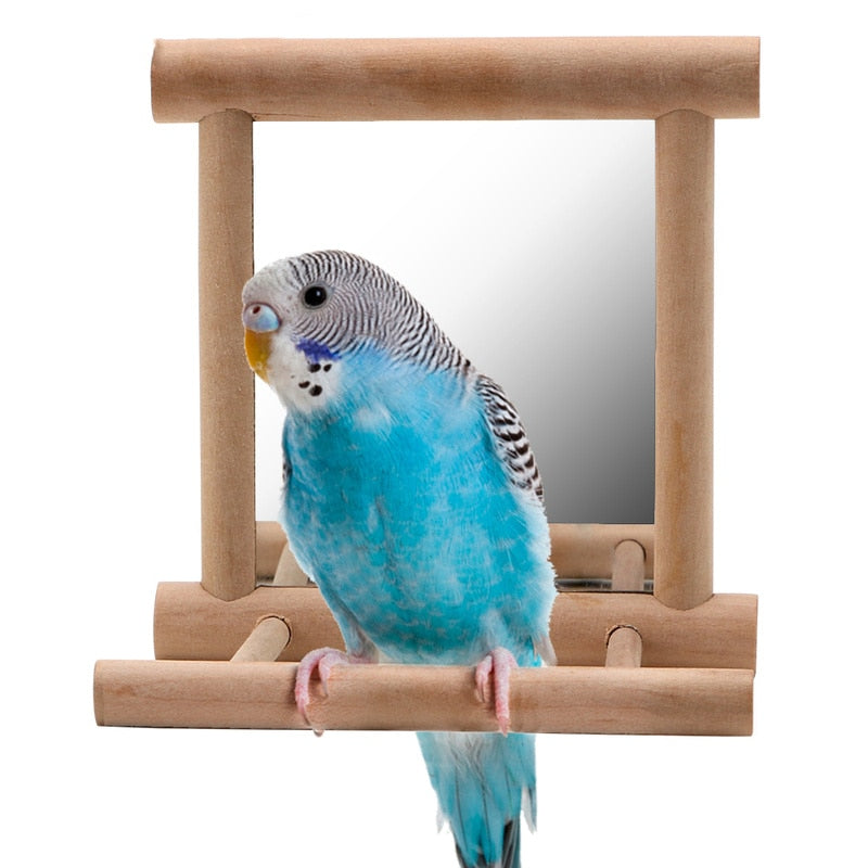 Bird Stand with Mirror Toy