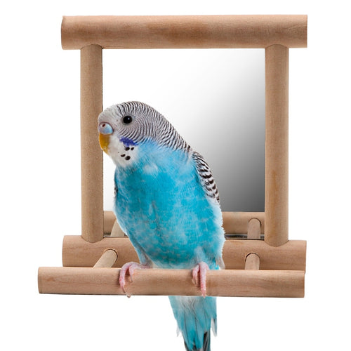 Bird Stand with Mirror Toy