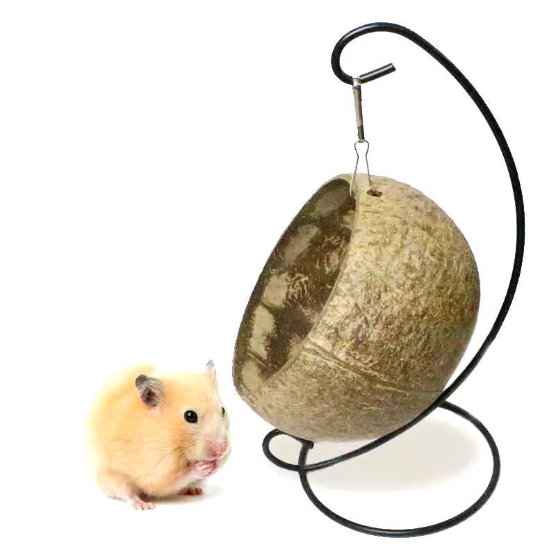 Coconut Shell Hanging Nest for Hamsters & Guinea Pigs