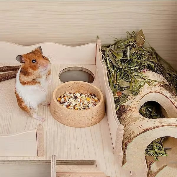 🐹 Hamster Starter Bundle — Save $12