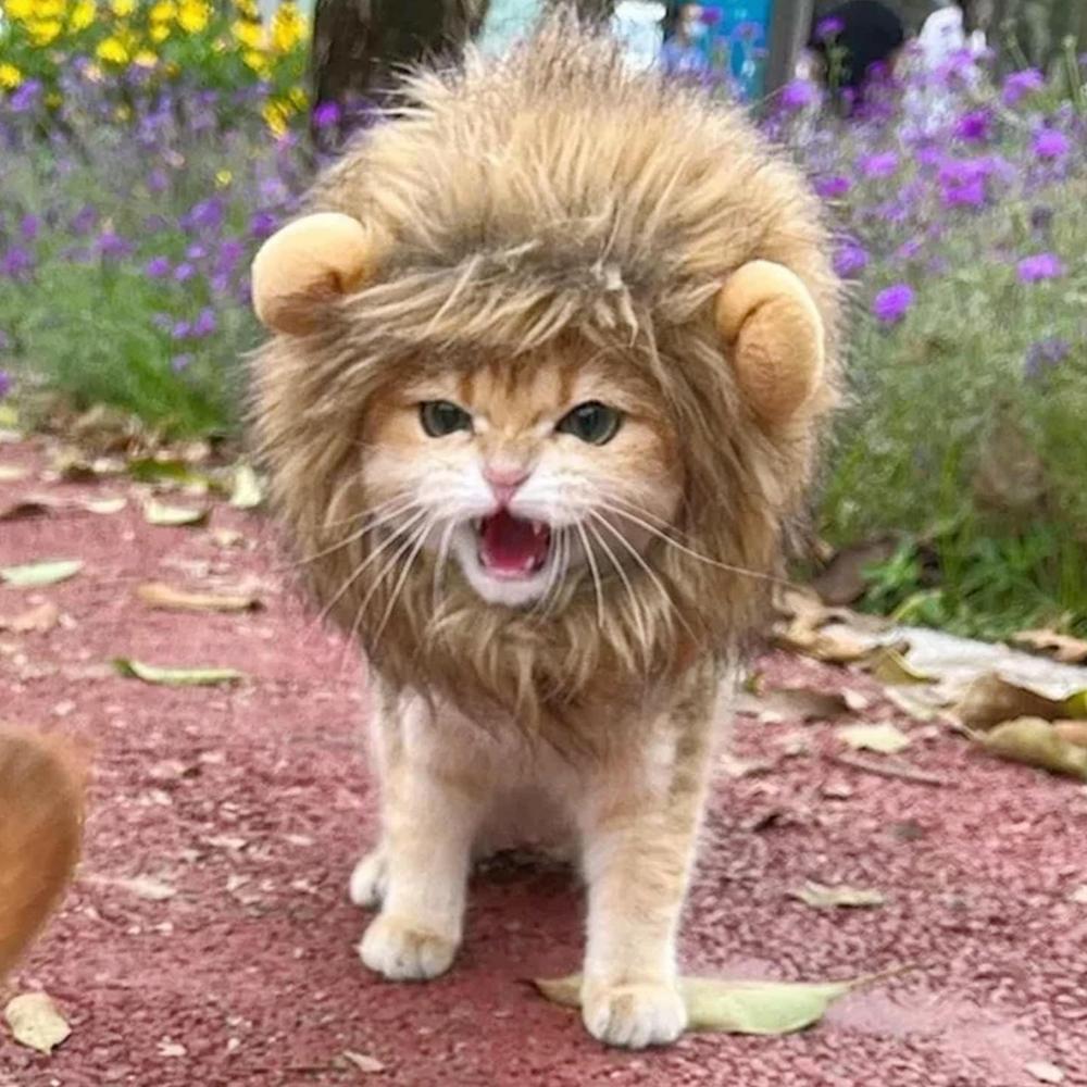 Lion Mane Wig Hat for Cats & Small Dogs